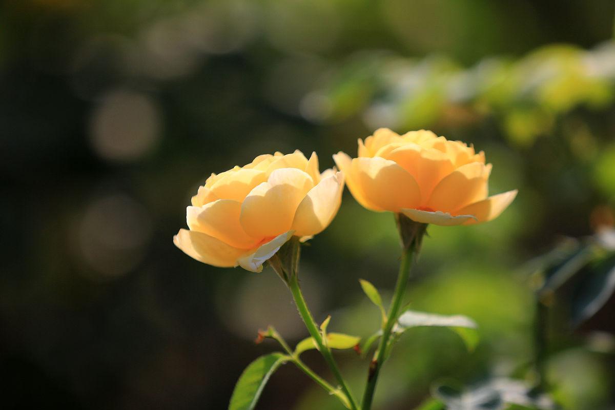 2022这一年，写一段话，送给辛苦的自己！(图5)