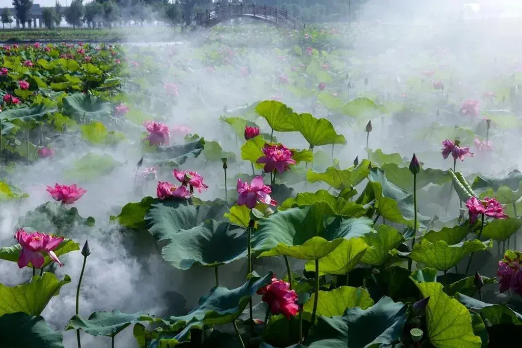 36句关于山的经典古诗词，山原来也可以这么美，你最喜欢哪一句？(图1)