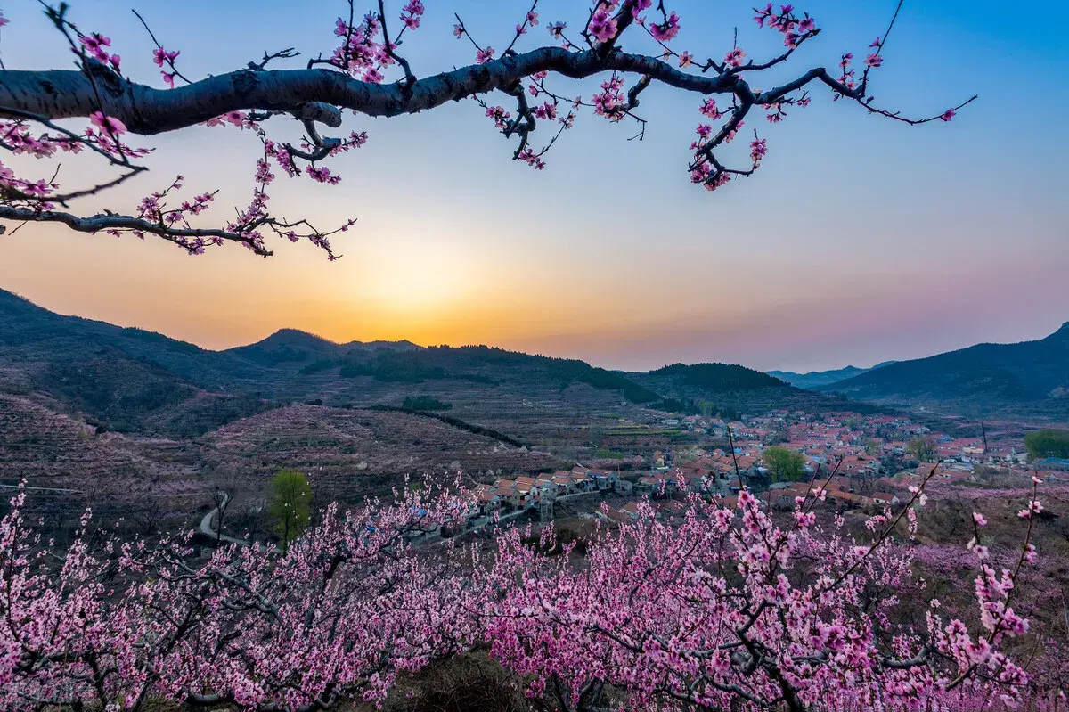 36句关于山的经典古诗词，山原来也可以这么美，你最喜欢哪一句？(图2)