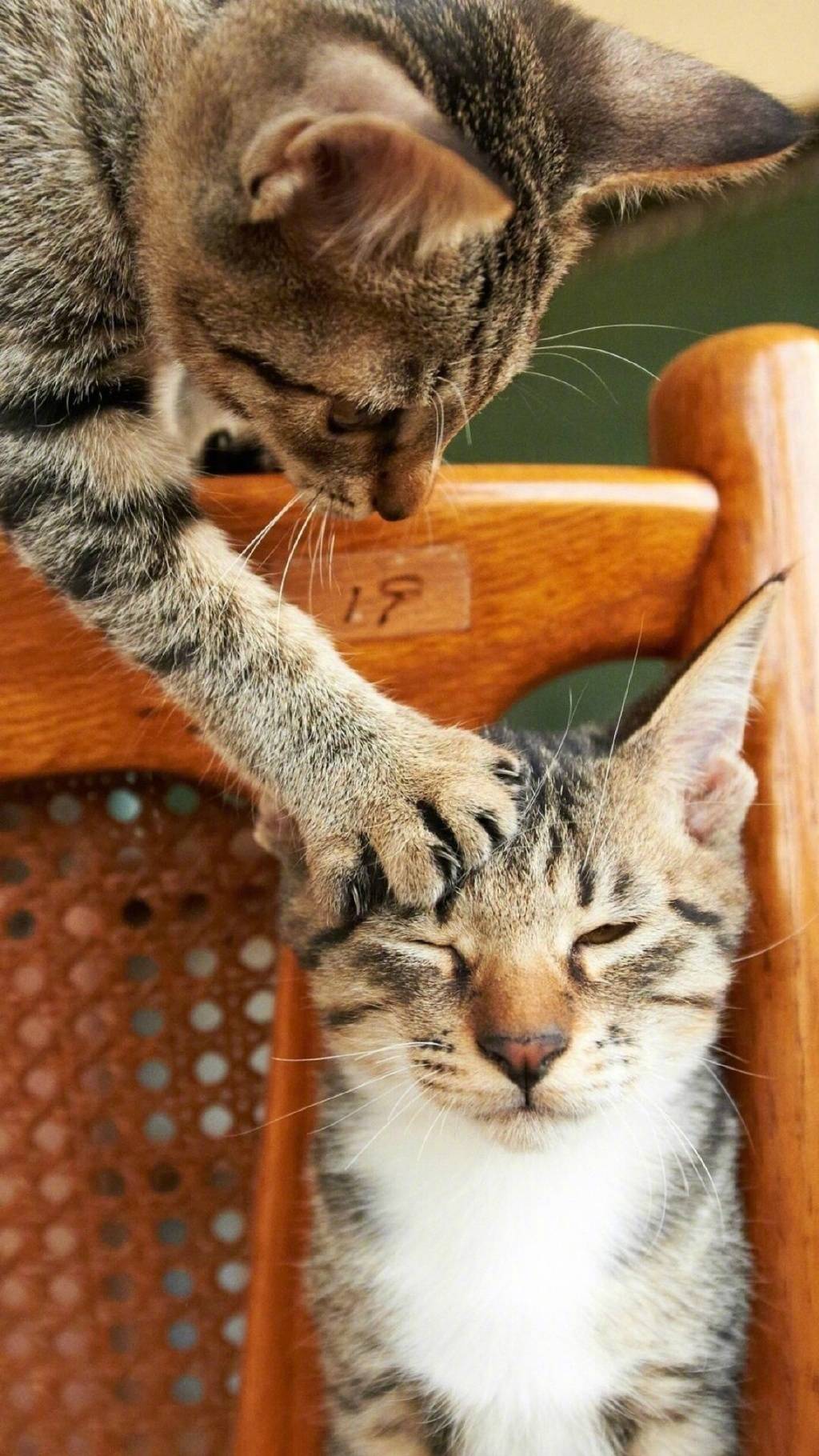 撩汉金句，我可以教你说几句腻人的情话吗？(图5)