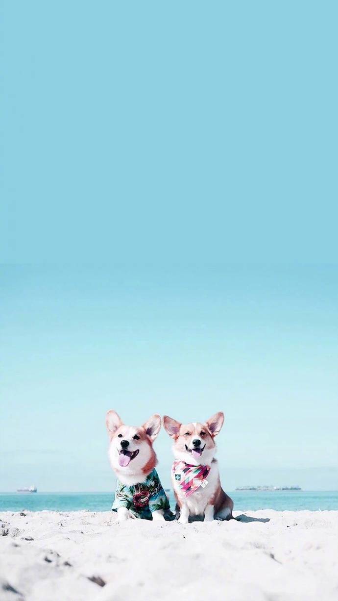 撩汉金句，我可以教你说几句腻人的情话吗？(图22)