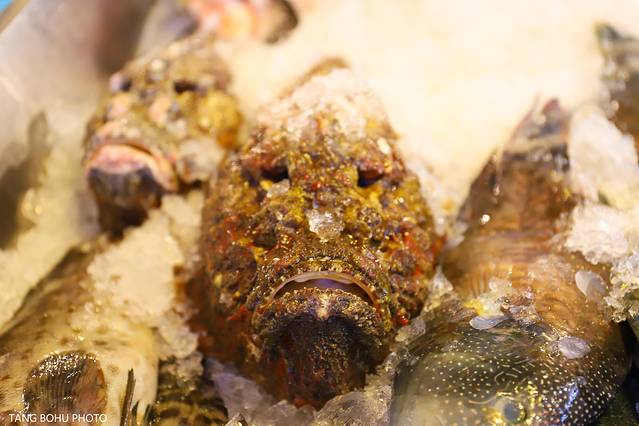 三亚，从你的全世界路过，海天仙境，热带天堂(图6)