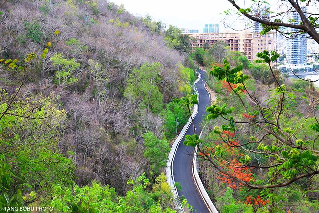 三亚，从你的全世界路过，海天仙境，热带天堂(图8)