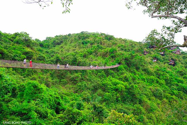 三亚，从你的全世界路过，海天仙境，热带天堂(图9)