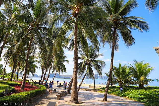 三亚，从你的全世界路过，海天仙境，热带天堂(图13)