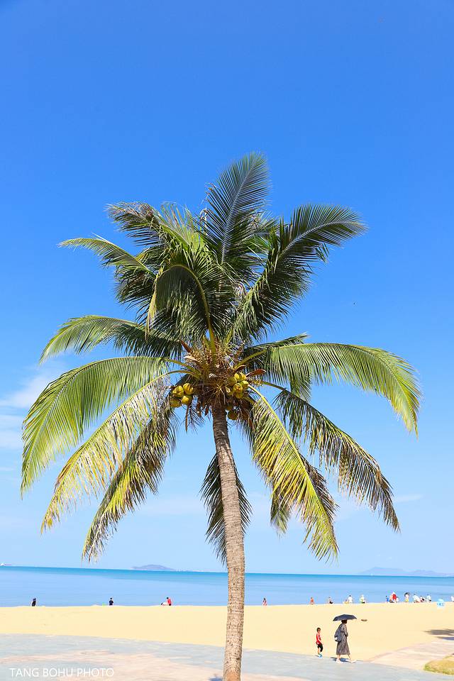 三亚，从你的全世界路过，海天仙境，热带天堂(图15)