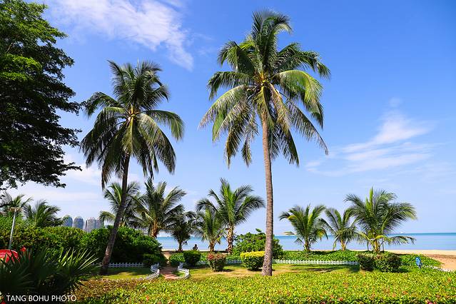 三亚，从你的全世界路过，海天仙境，热带天堂(图16)