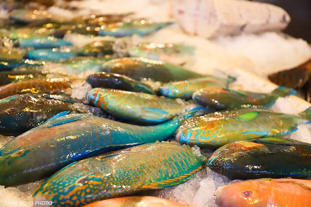 三亚，从你的全世界路过，海天仙境，热带天堂(图20)