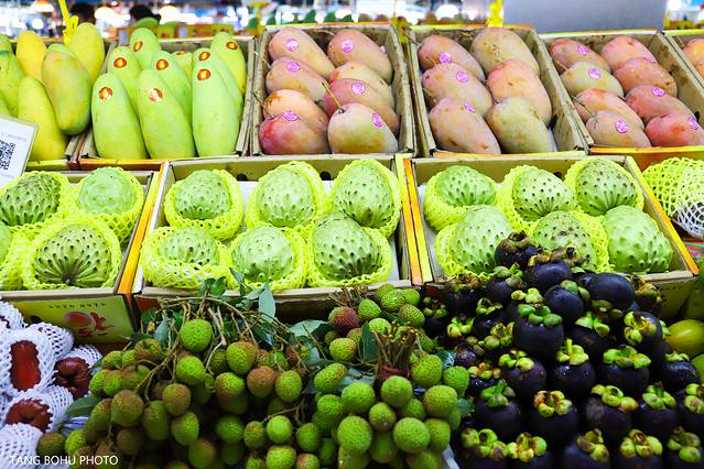 三亚，从你的全世界路过，海天仙境，热带天堂(图31)