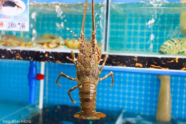 三亚，从你的全世界路过，海天仙境，热带天堂(图35)