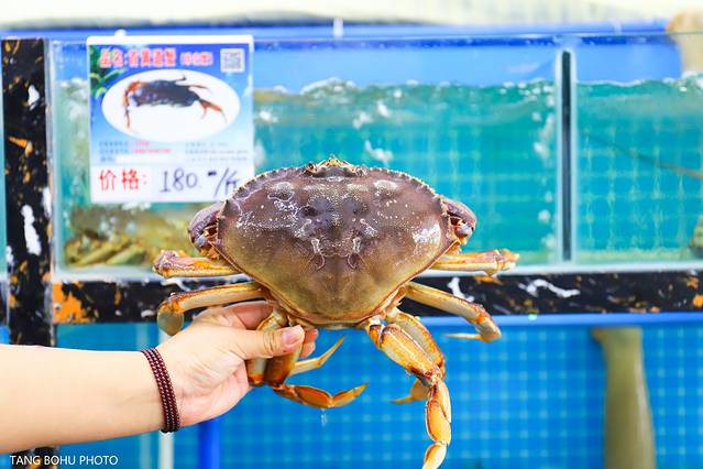 三亚，从你的全世界路过，海天仙境，热带天堂(图36)