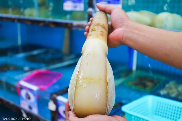 三亚，从你的全世界路过，海天仙境，热带天堂(图37)