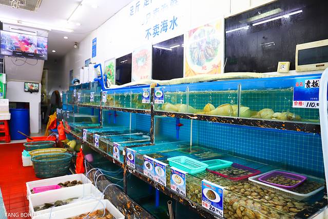 三亚，从你的全世界路过，海天仙境，热带天堂(图39)