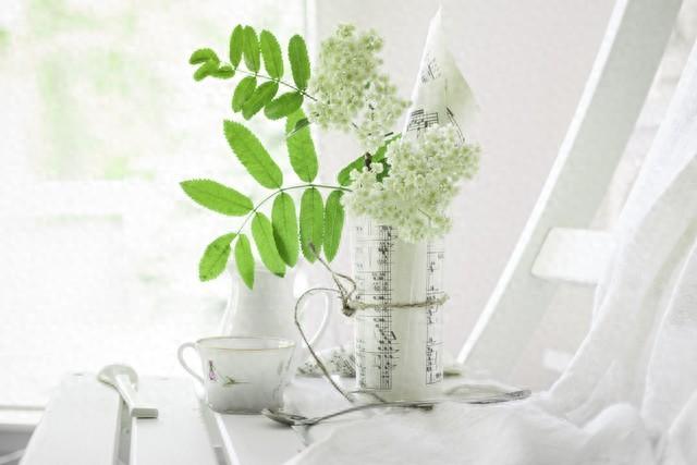 十个文艺风十足的古风说说句子，唯美动人(图1)