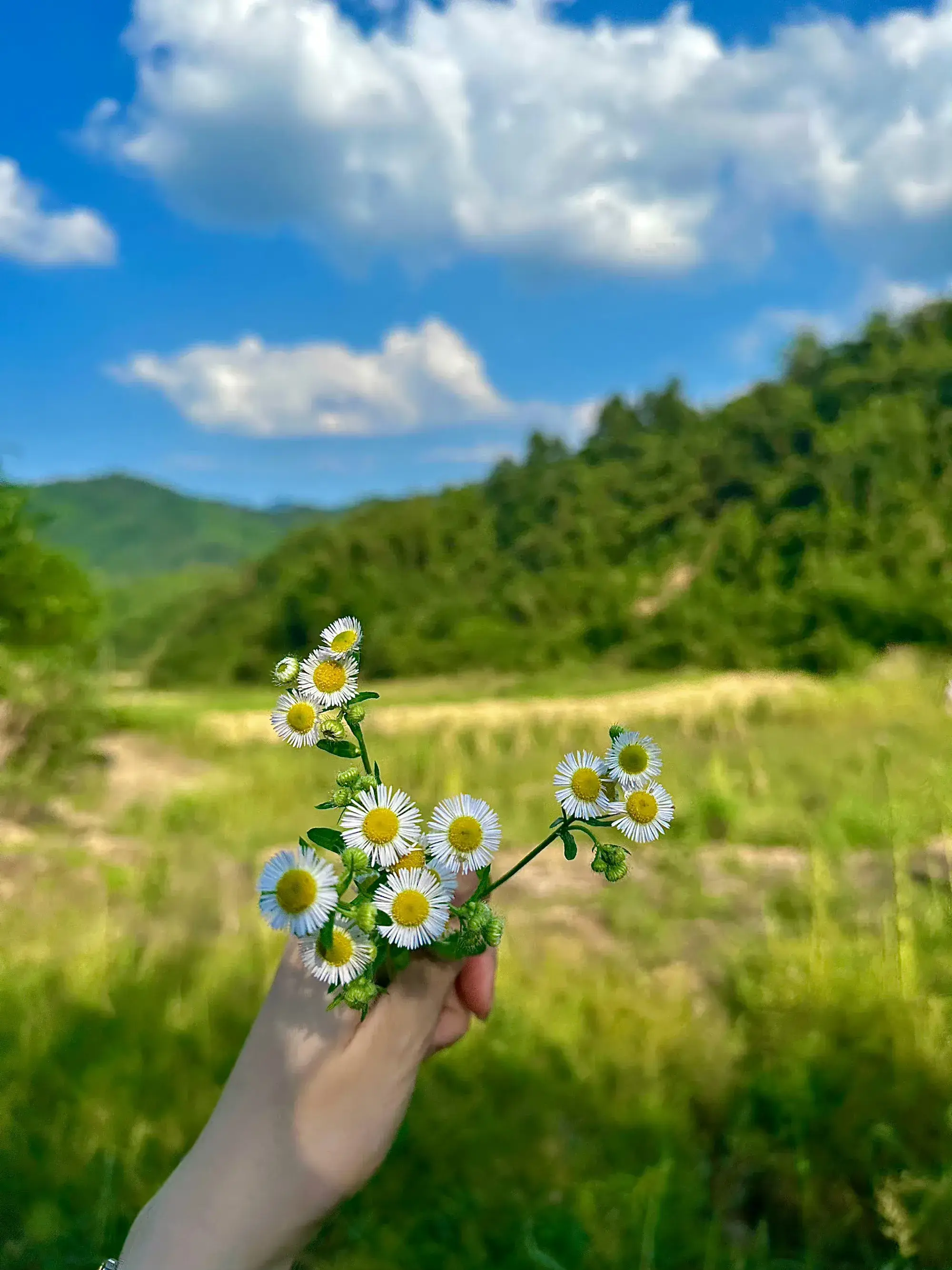 人民日报金句：成功从来不是偶然！(图2)