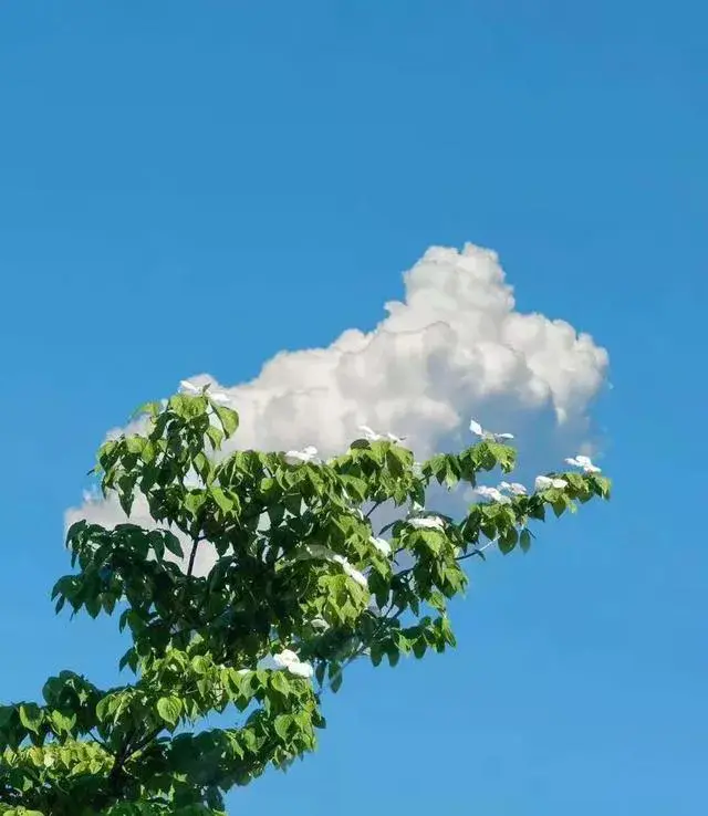 人民日报金句：成功从来不是偶然！(图3)