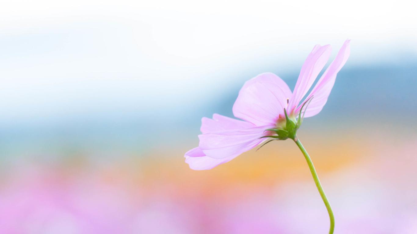 35个催人奋进的治愈系列句子，每一句都鼓舞人心，愿你前程似锦(图2)