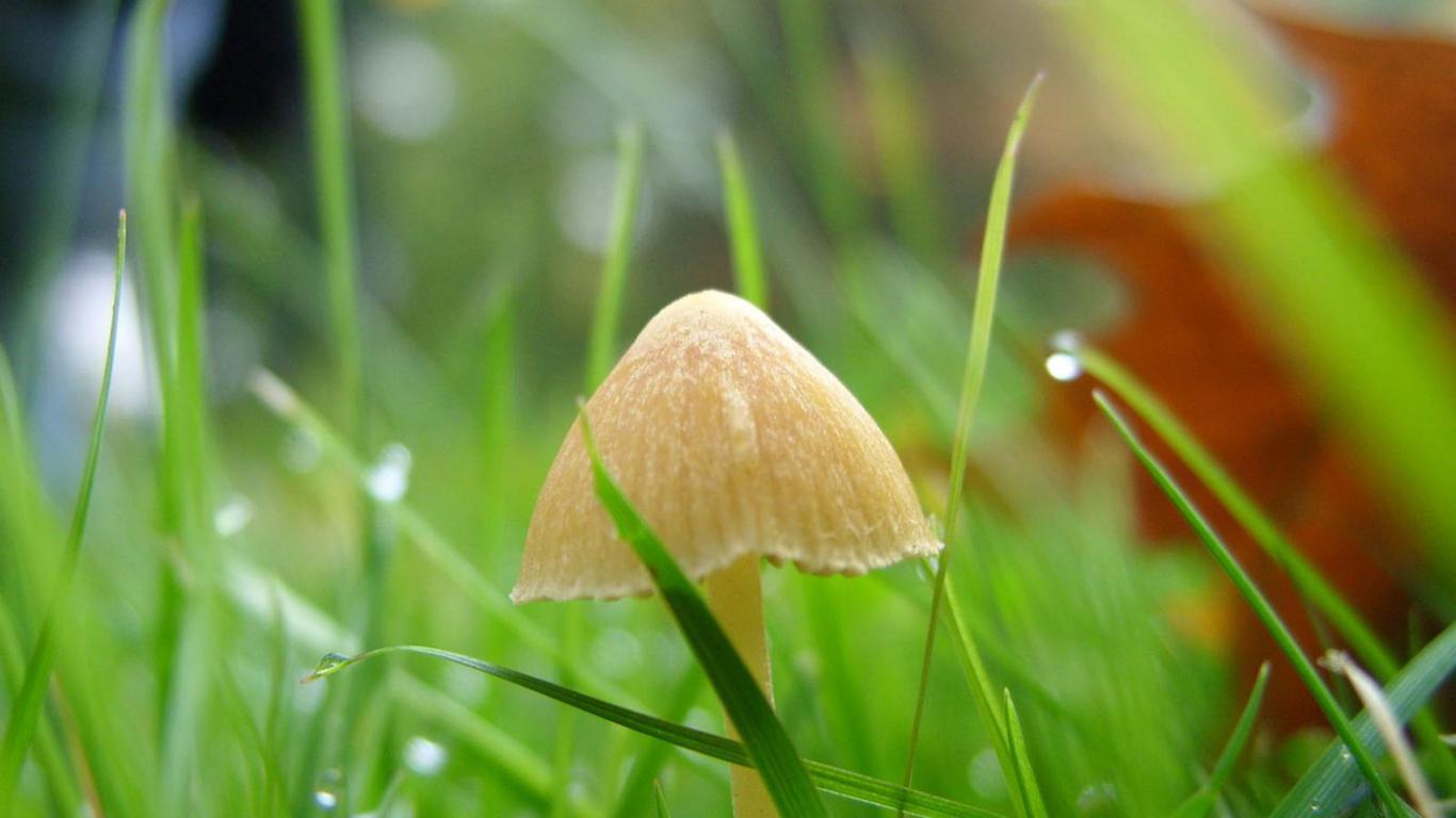 35个催人奋进的治愈系列句子，每一句都鼓舞人心，愿你前程似锦(图6)