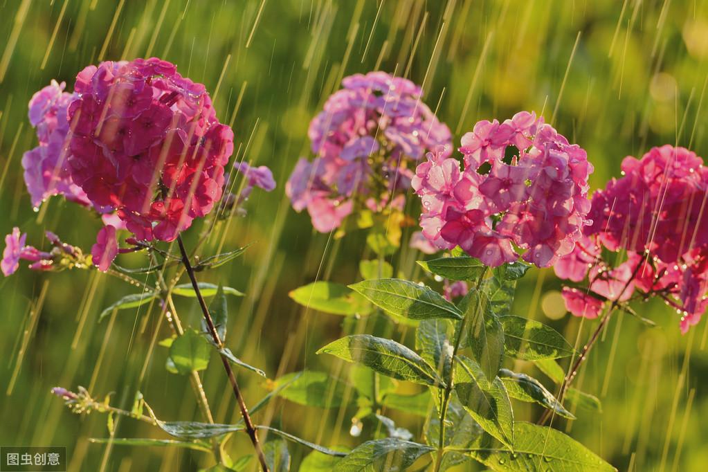 35个催人奋进的治愈系列句子，每一句都鼓舞人心，愿你前程似锦(图8)