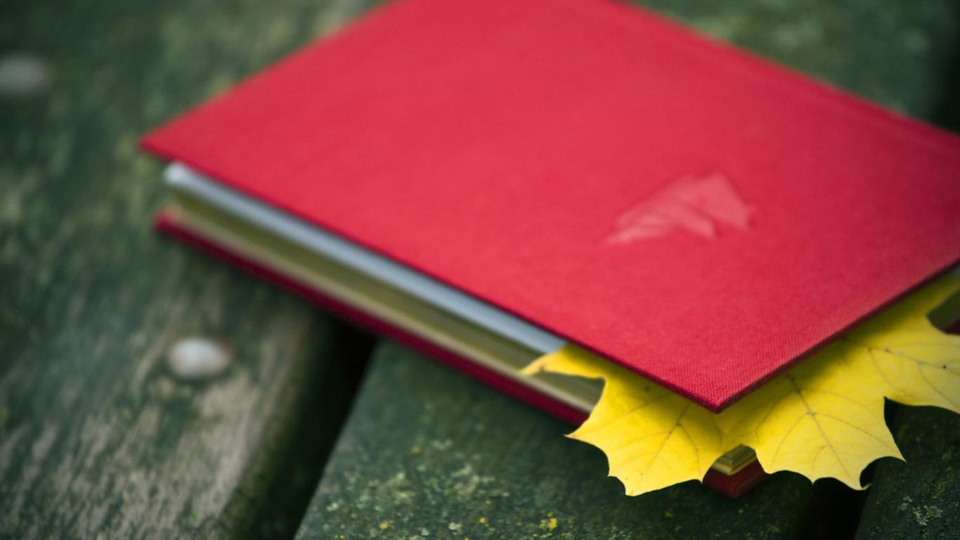 35个催人奋进的治愈系列句子，每一句都鼓舞人心，愿你前程似锦(图10)