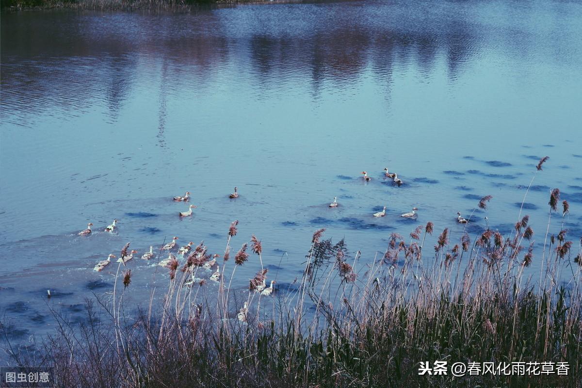 天气越来越炎热，水总是能带给人们清凉感，你会描写湖水吗(图3)