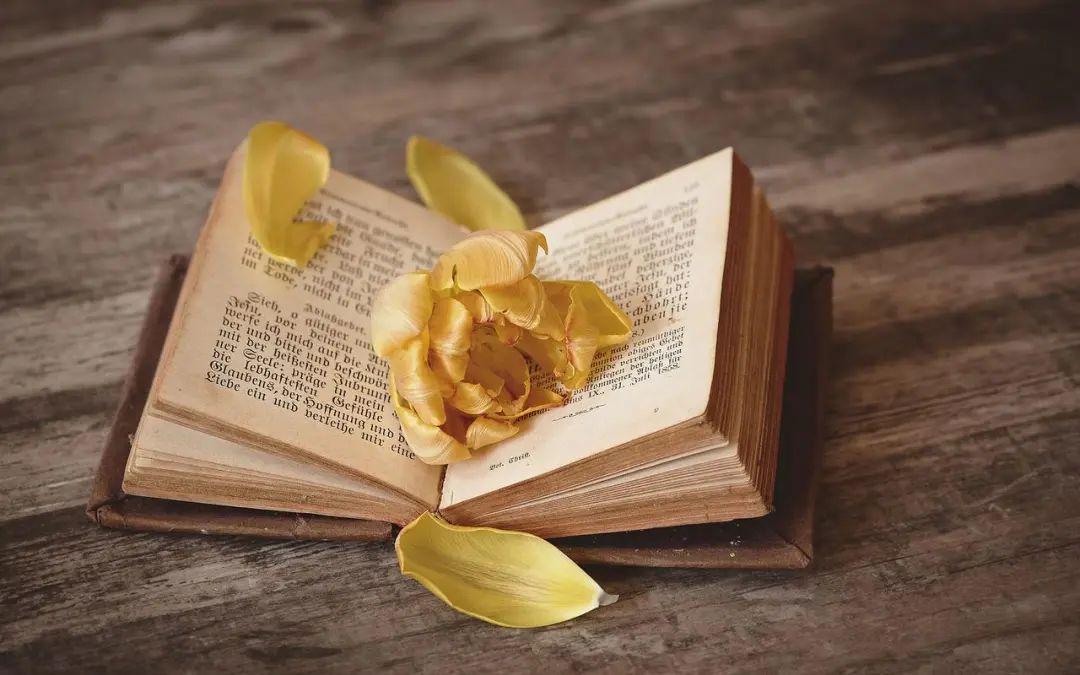 关于美食的文案：舌尖上的美味，留香心间(图3)