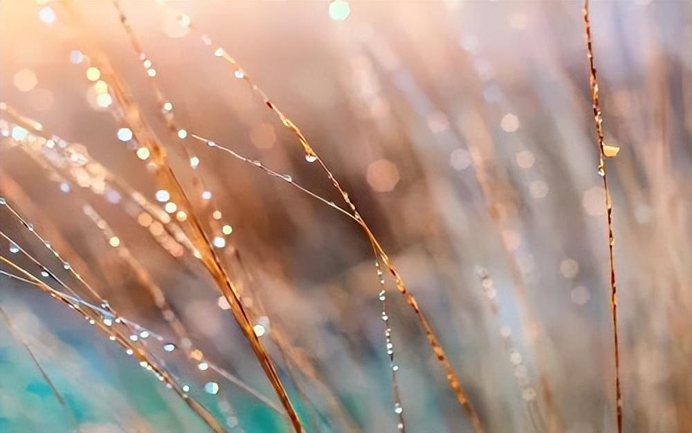 关于美食的文案：舌尖上的美味，留香心间(图4)