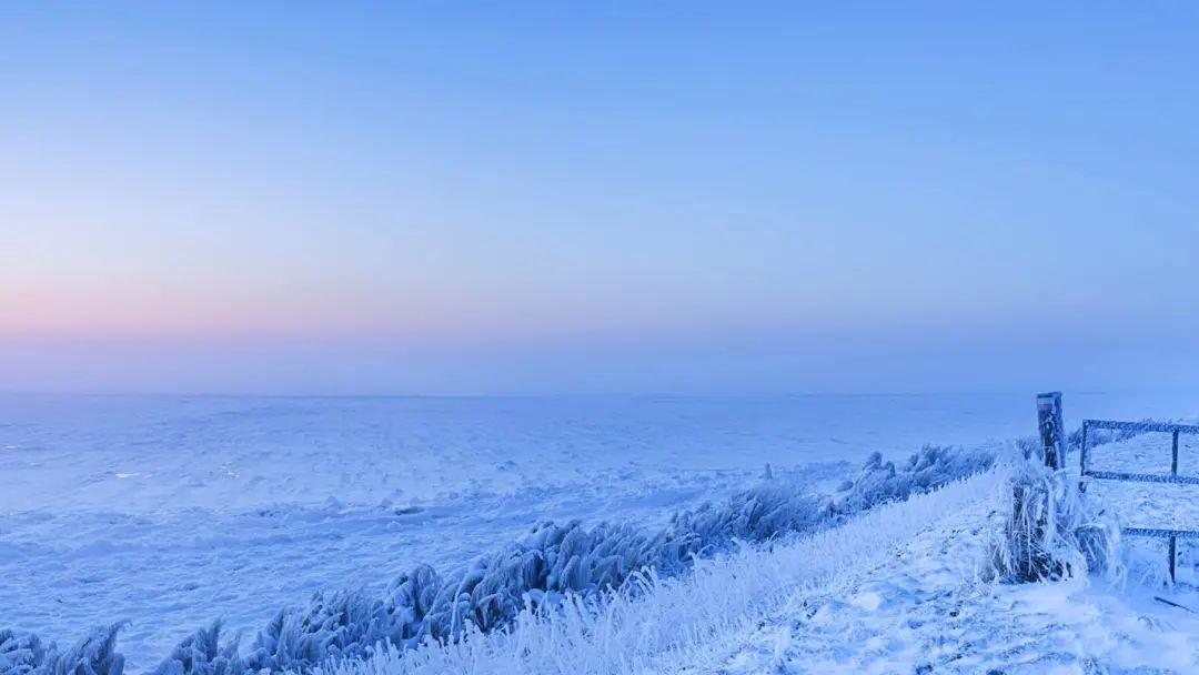 关于美食的文案：舌尖上的美味，留香心间(图5)