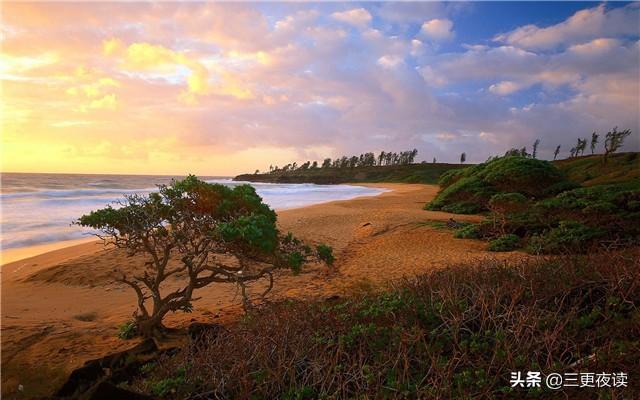 夜读人生：学习像淘金，努力久了，总会有收获(图4)