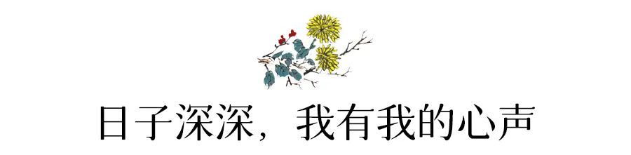 菊花开，闻冬来(图12)