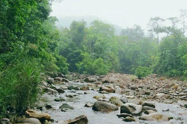 这里每个潭都是上天遗落在人间的宝器，清澈如镜的潭水宛如仙境(图8)