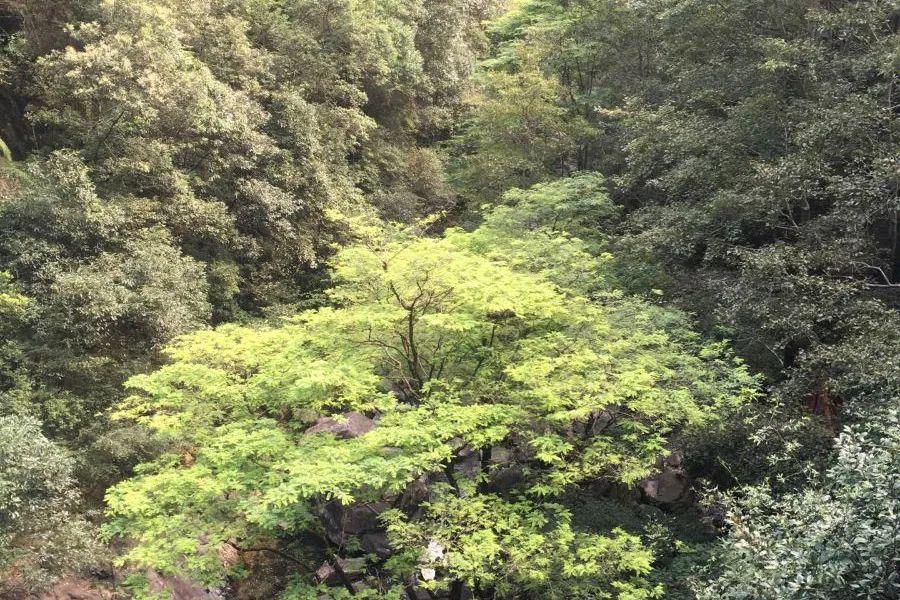 这里每个潭都是上天遗落在人间的宝器，清澈如镜的潭水宛如仙境(图9)