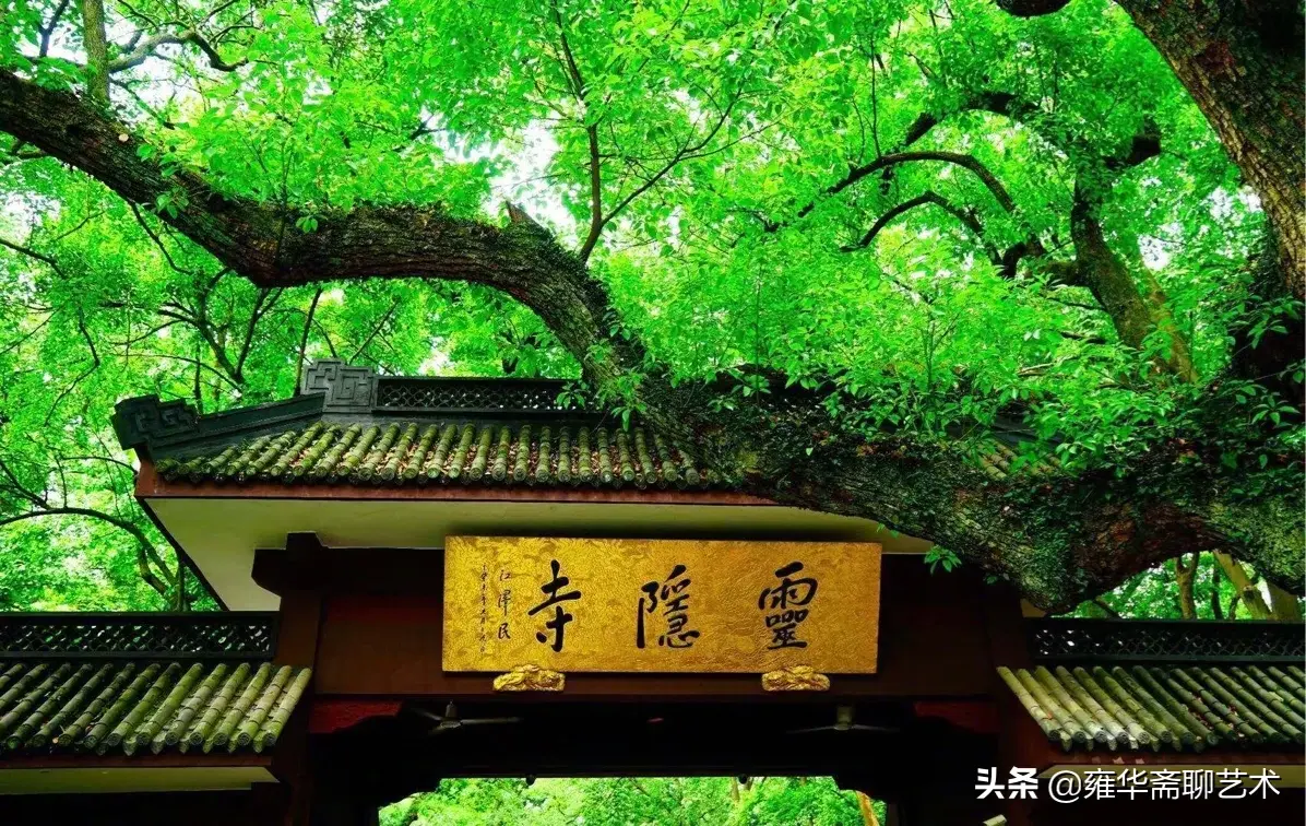 卡尔波普尔哲学语录28句，深度揭示生活中的错误(图5)