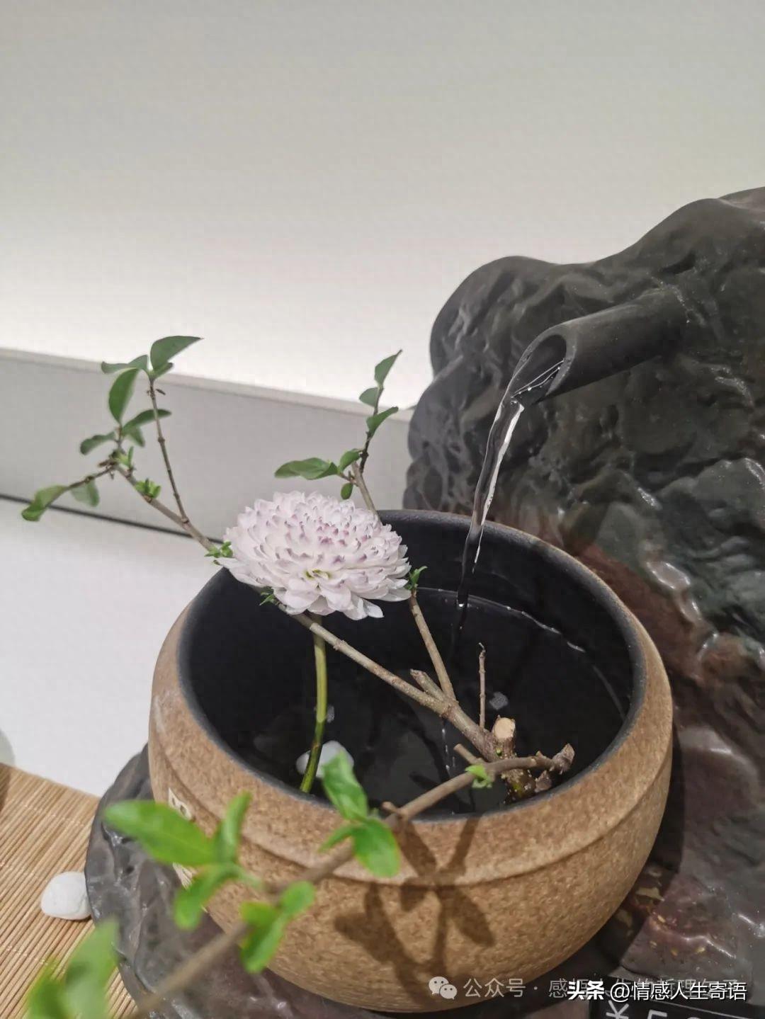 正能量治愈心情文案，心态好格局大的句子(图1)