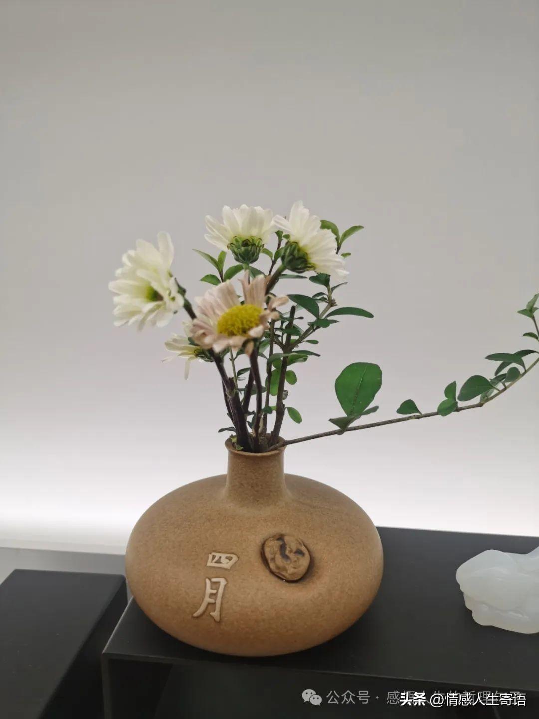 正能量治愈心情文案，心态好格局大的句子(图3)