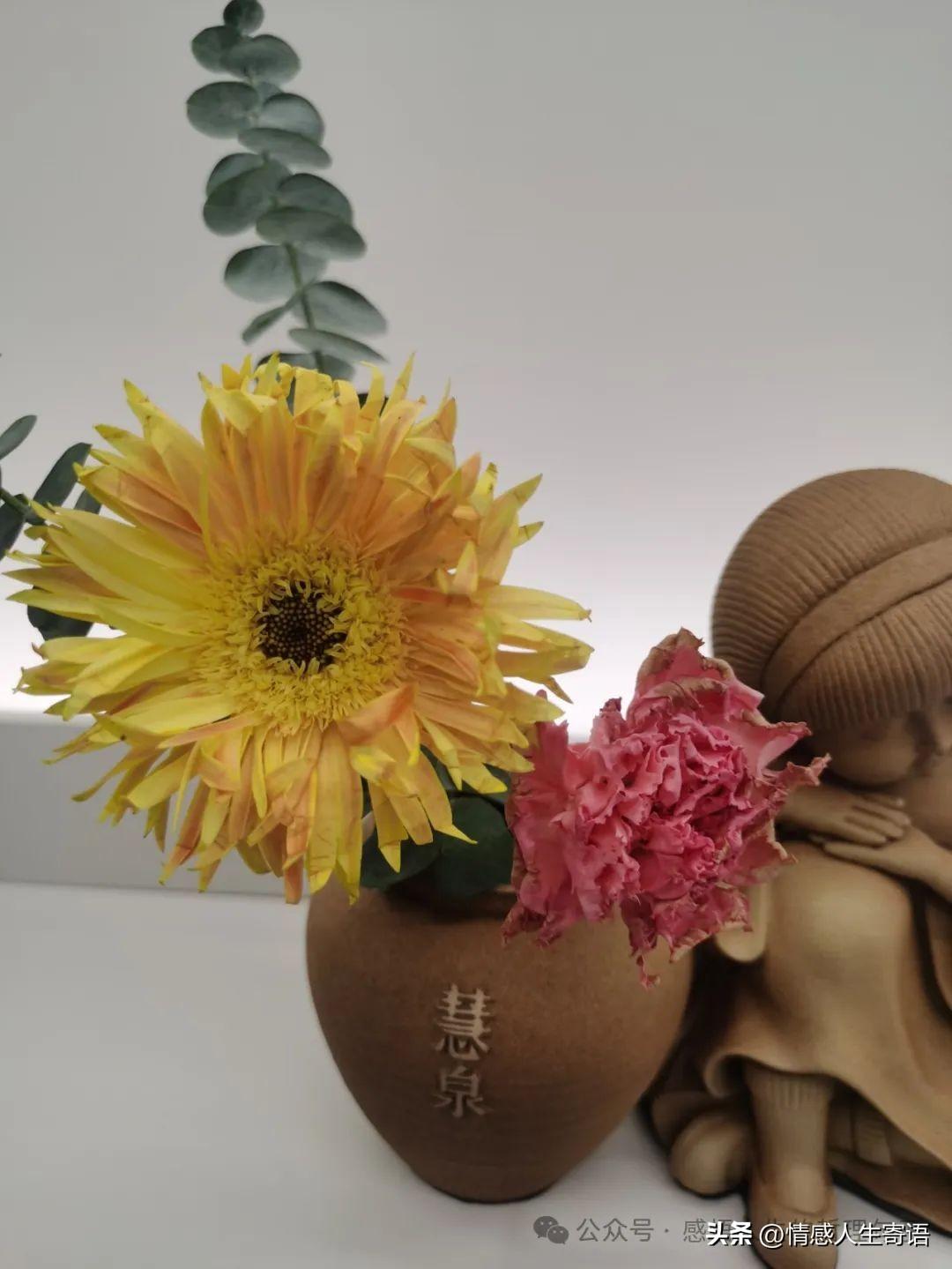 正能量治愈心情文案，心态好格局大的句子(图4)