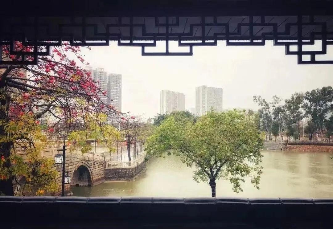 古韵深圳 | 绝美！藏在深圳的小江南，竟是“人间最美的烟火气”(图4)