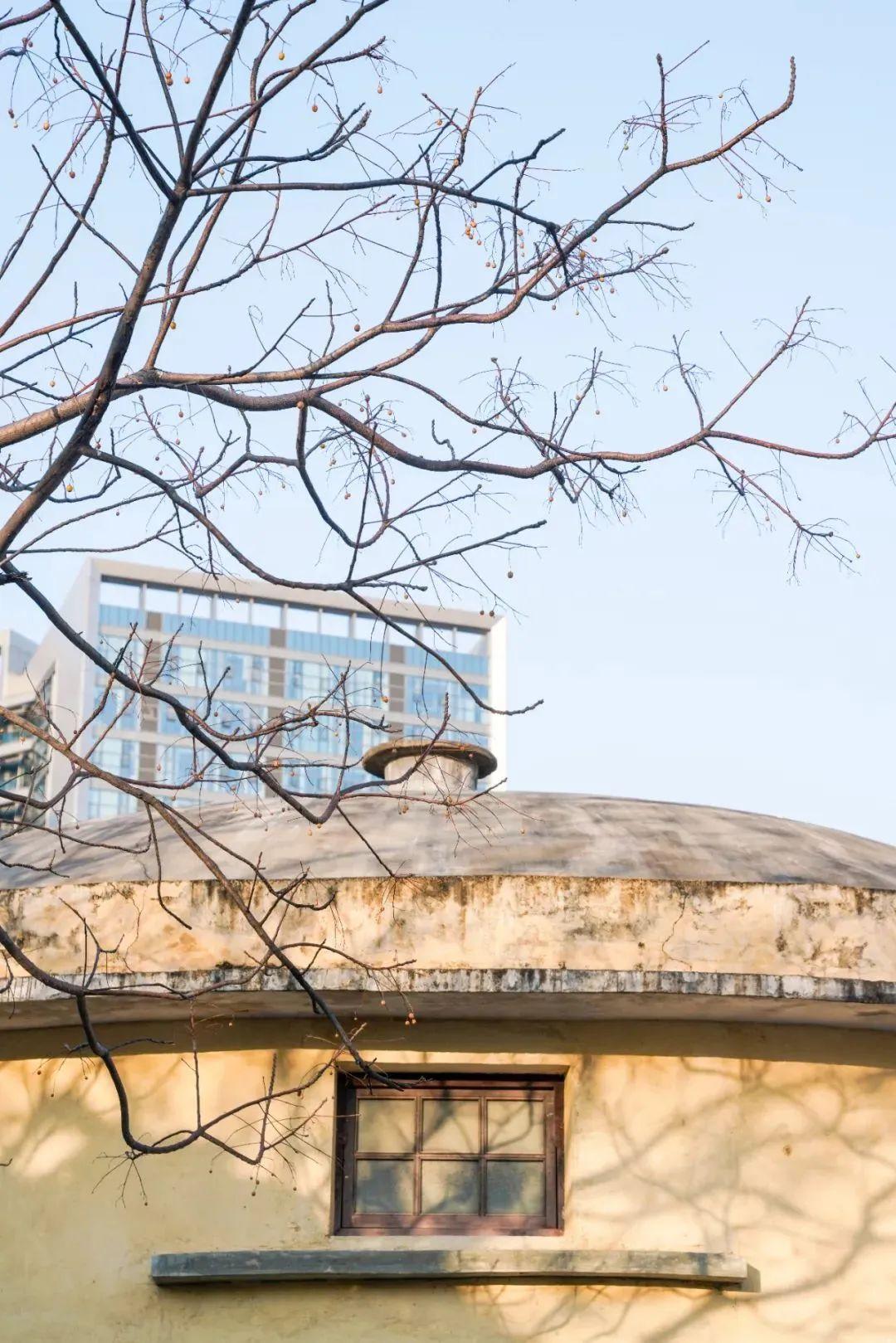 古韵深圳 | 绝美！藏在深圳的小江南，竟是“人间最美的烟火气”(图6)