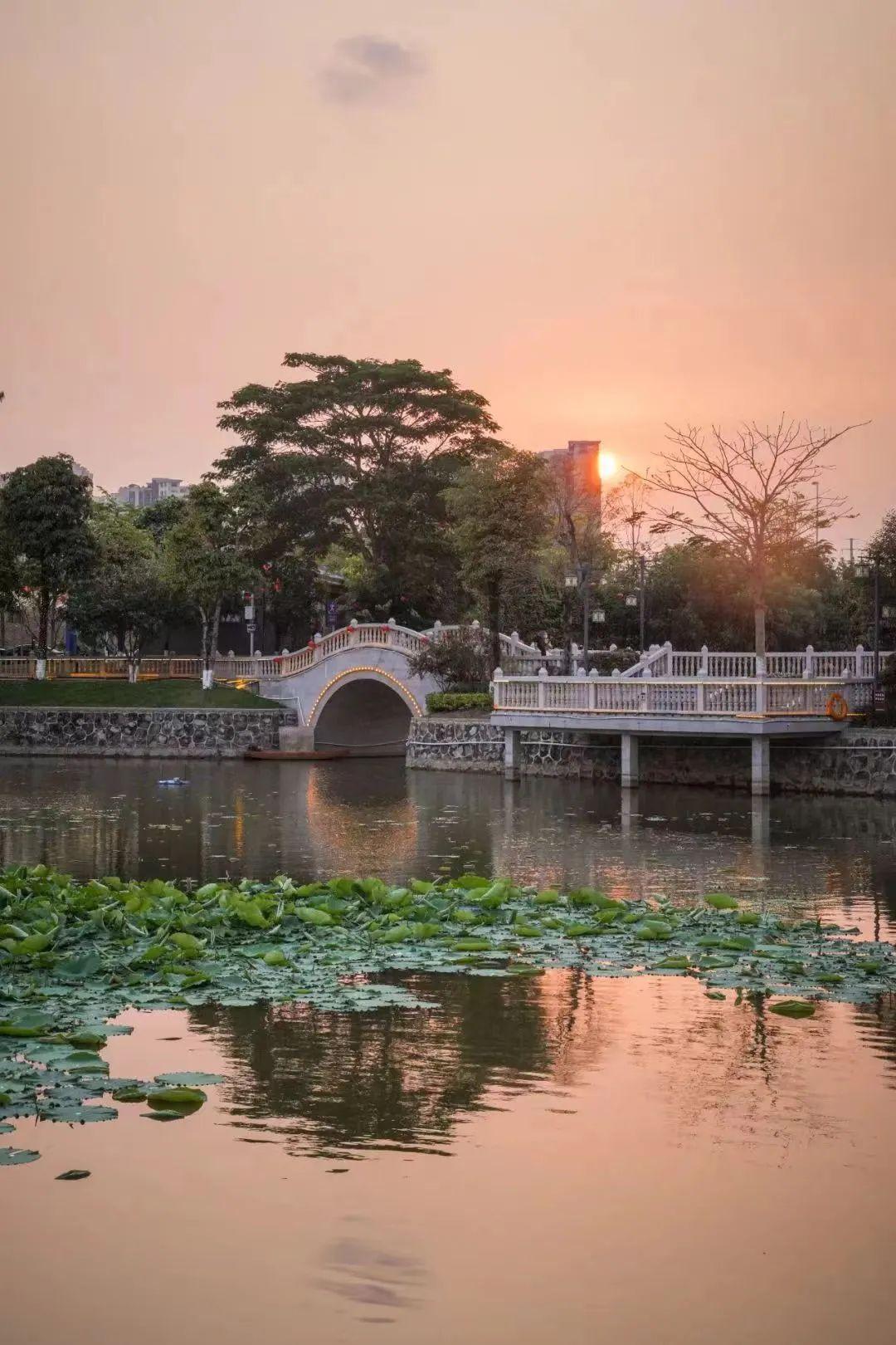 古韵深圳 | 绝美！藏在深圳的小江南，竟是“人间最美的烟火气”(图7)