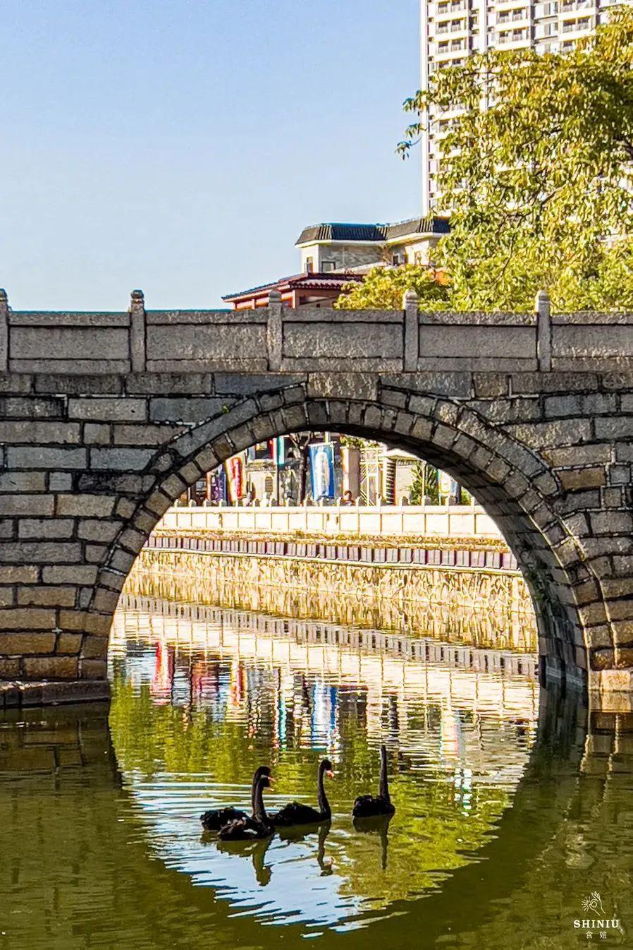 古韵深圳 | 绝美！藏在深圳的小江南，竟是“人间最美的烟火气”(图9)