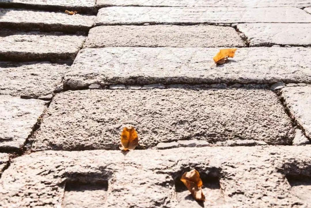 古韵深圳 | 绝美！藏在深圳的小江南，竟是“人间最美的烟火气”(图11)