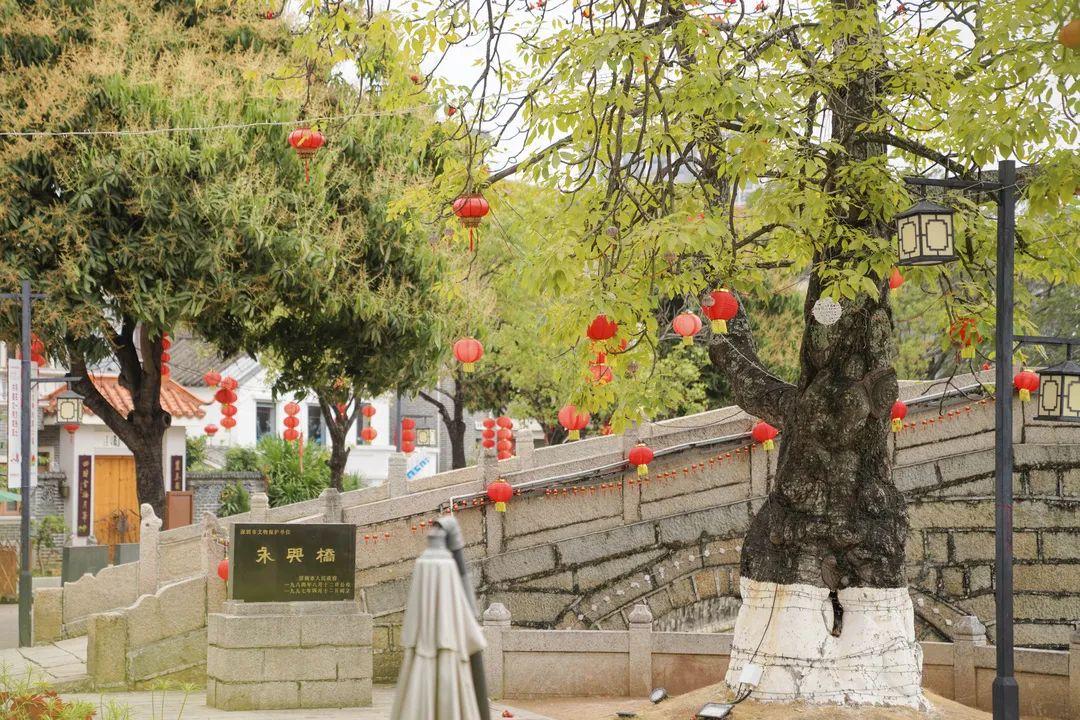 古韵深圳 | 绝美！藏在深圳的小江南，竟是“人间最美的烟火气”(图12)