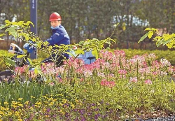 冬日深圳，四季的美都来了(图5)