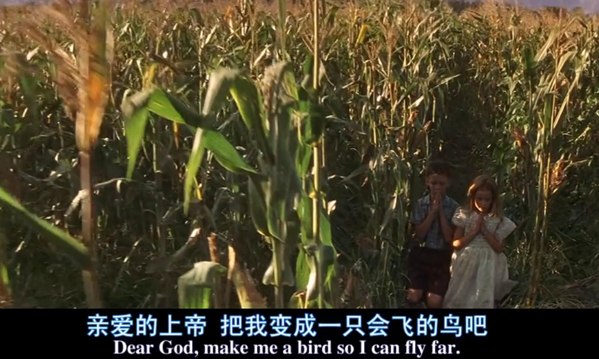 《阿甘正传》：成功如果有捷径的话，那就是“听话照做”(图5)