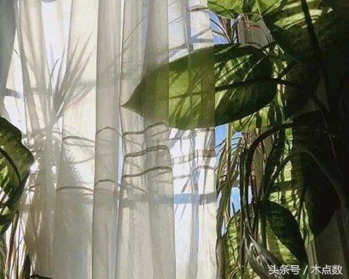 70句励志正能量的奋斗签名：不念过去，不畏将来，不负余生(图2)