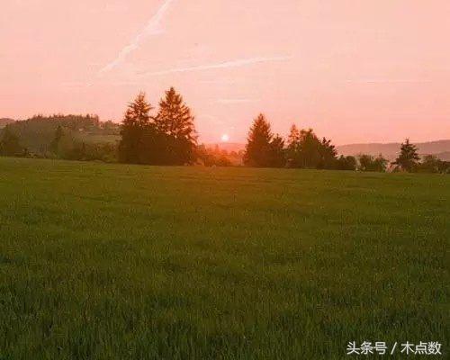 70句励志正能量的奋斗签名：不念过去，不畏将来，不负余生(图3)