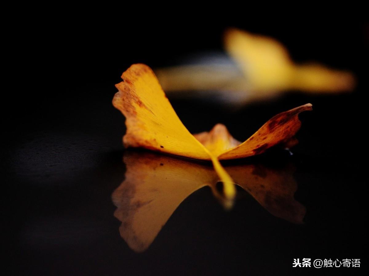 经典走心的语录，句句扎心，你最喜欢哪一句呢？(图4)