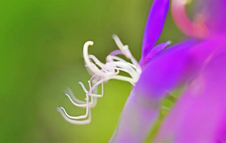 那些友谊中温柔到爆的神仙句子，温馨细腻的友情表达(图2)