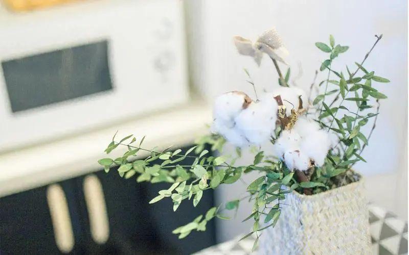 高情商骂渣男，化解心中怒火的绝妙言辞(图2)