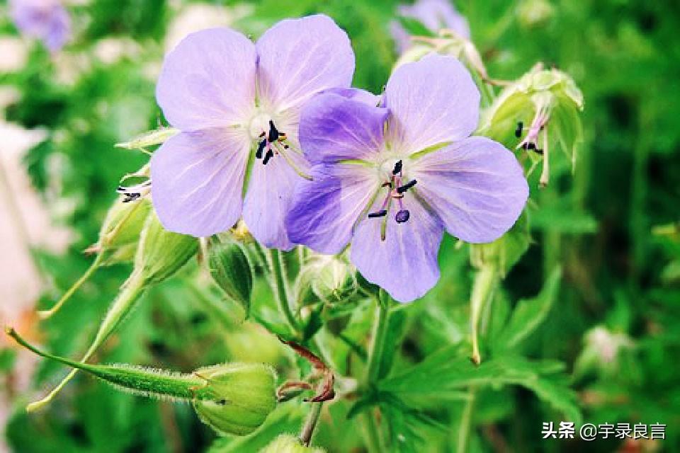 夜晚思考人生的句子，句句都很棒，总有一句打动你(图1)